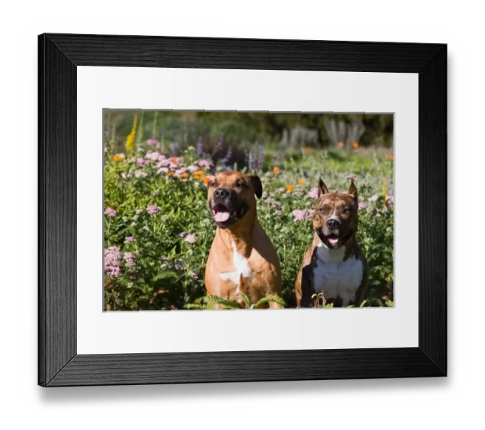 Framed Print : USA, North America, California Framed Print : USA, North America, California