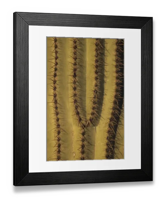 Framed Print : USA, North America, Arizona Framed Print : USA, North America, Arizona
