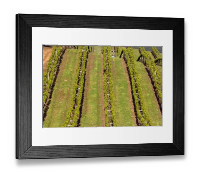 Framed Print : USA, North America, California