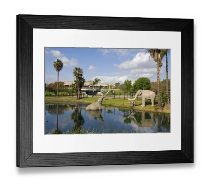 Framed Print : USA, North America, California Framed Print : USA, North America, California
