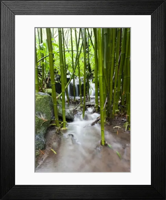 Framed Print : USA, North America, Florida Framed Print : USA, North America, Florida