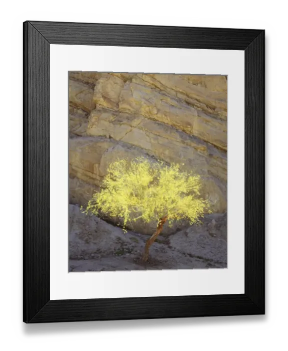 Framed Print : USA, North America, California Framed Print : USA, North America, California