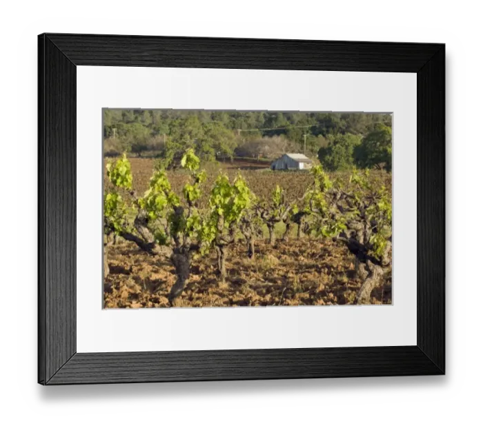 Framed Print : USA, North America, California Framed Print : USA, North America, California