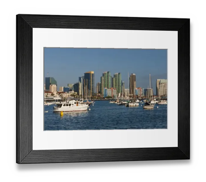 Framed Print : San Diego Bay, California. Fleet of sailboats and skyline of San Diego Framed Print : San Diego Bay, California. Fleet of sailboats and skyline of San Diego