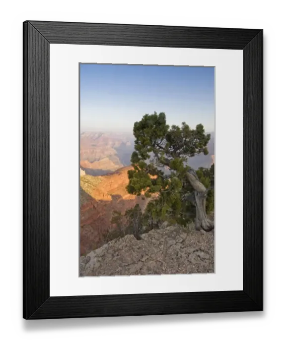 Framed Print : Grand Canyon at Dawn from Hopi Point, Grand Canyon NP, AZ, USA Framed Print : Grand Canyon at Dawn from Hopi Point, Grand Canyon NP, AZ, USA