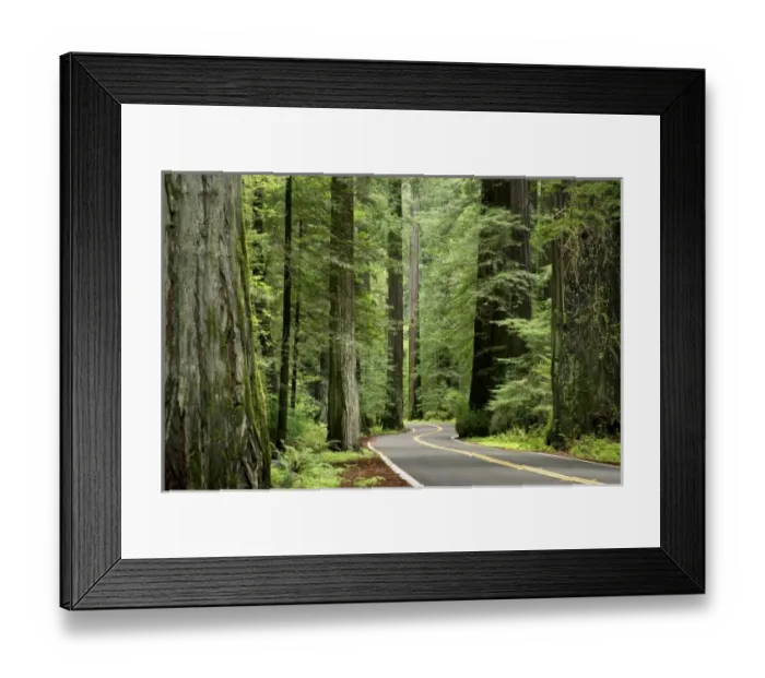 Framed Print : USA, North America, California Framed Print : USA, North America, California