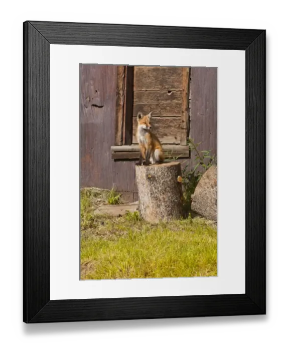 Framed Print : USA, North America, Colorado Framed Print : USA, North America, Colorado