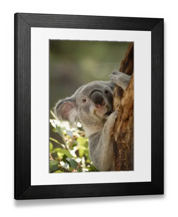 Framed Print : USA, North America, California Framed Print : USA, North America, California