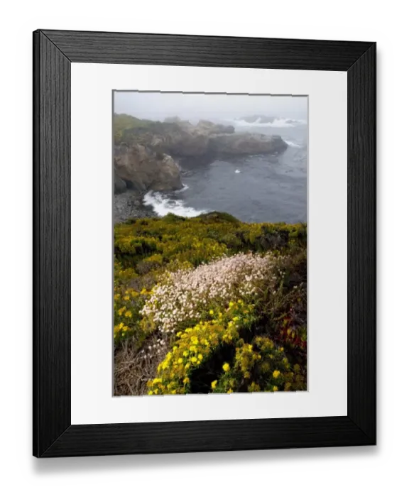 Framed Print : USA, North America, California Framed Print : USA, North America, California