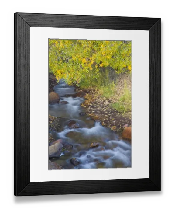 Framed Print : Stream in Fall with the colors reflected in the moving waters, Alabama Hills California Framed Print : Stream in Fall with the colors reflected in the moving waters, Alabama Hills California