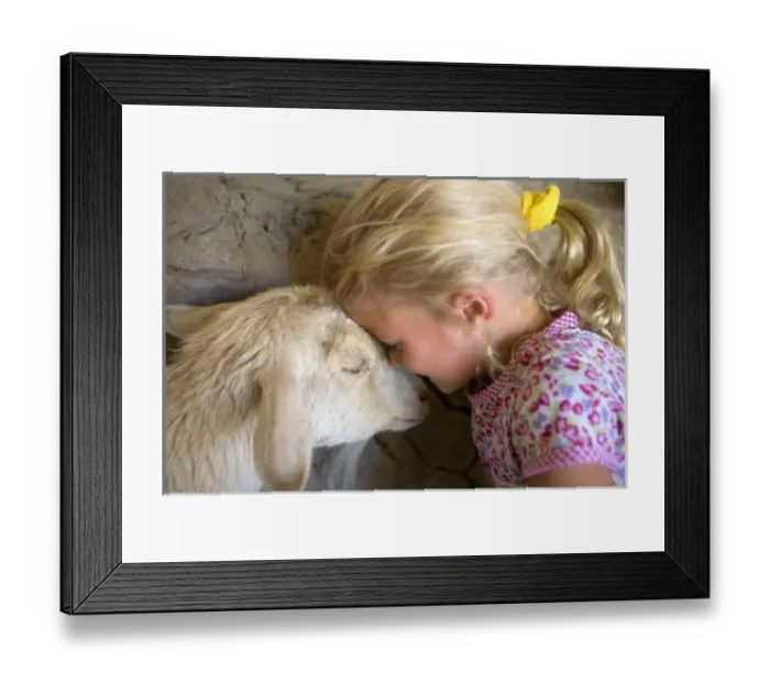Framed Print : USA, California, Palm Desert, The Living Desert. Young girl and Nigerian pygmy goat touch heads