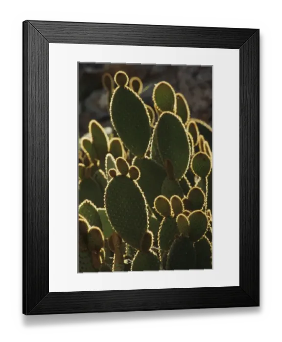 Framed Print : USA, North America, Arizona Framed Print : USA, North America, Arizona