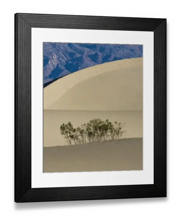 Framed Print : USA, North America, California