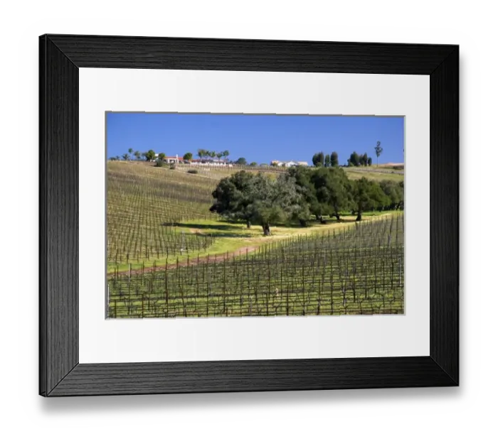 Framed Print : USA, North America, California Framed Print : USA, North America, California