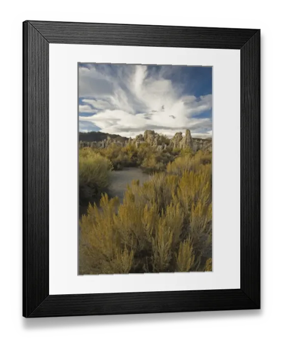 Framed Print : USA, California. Rabbitbrush carpets the high desert around the tufa formations Framed Print : USA, California. Rabbitbrush carpets the high desert around the tufa formations