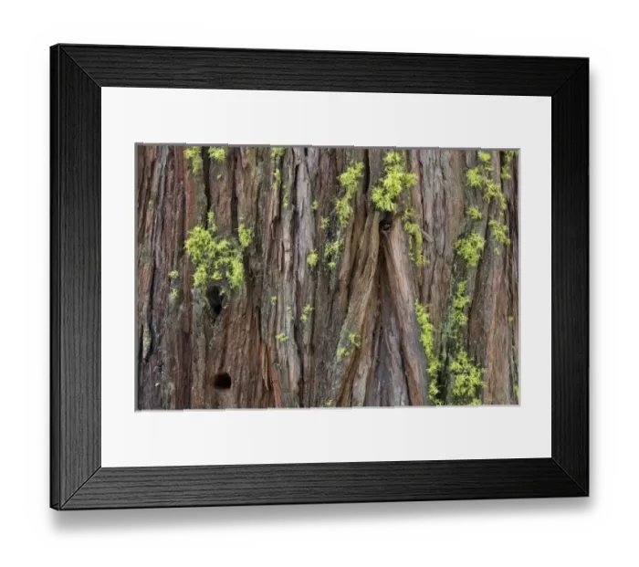 Framed Print : USA, North America, California