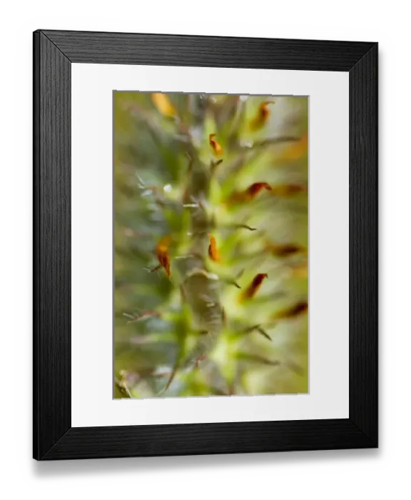 Framed Print : USA, North America, California Framed Print : USA, North America, California