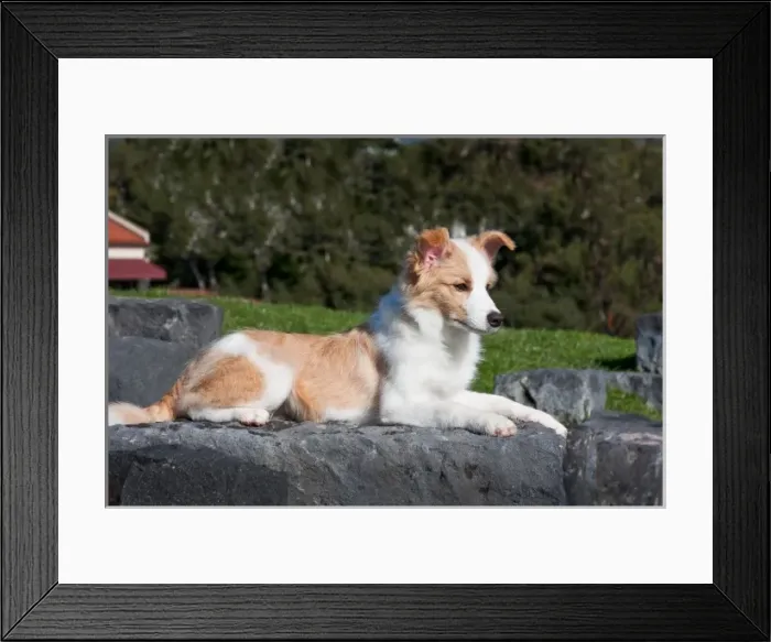 Framed Print : USA, North America, California Framed Print : USA, North America, California