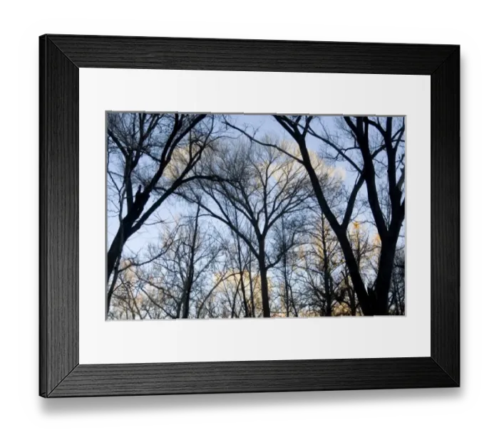 Framed Print : Early morning sunlight illuminating the tops of the trees in Sedona, Arizona, USA Framed Print : Early morning sunlight illuminating the tops of the trees in Sedona, Arizona, USA