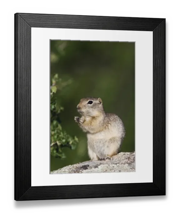 Framed Print : USA, North America, Colorado