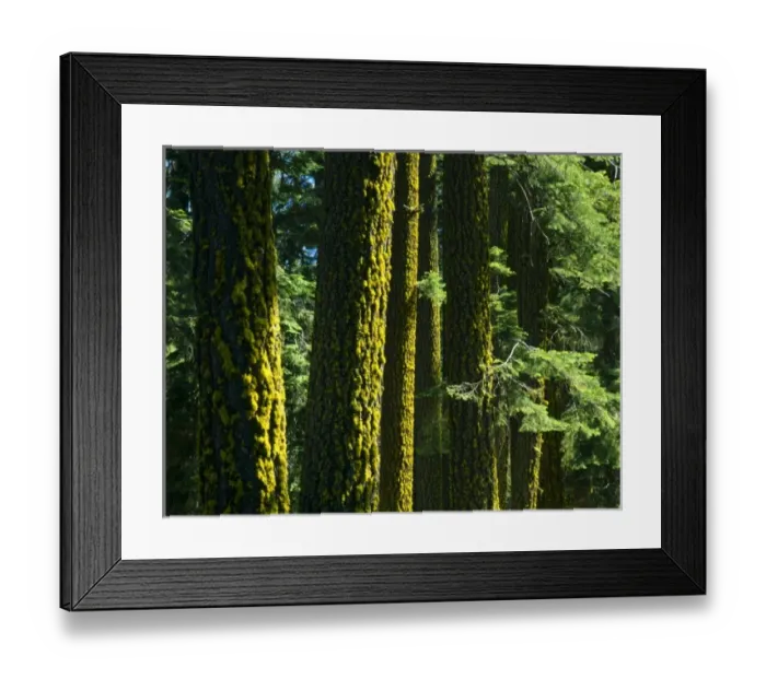 Framed Print : USA, North America, California Framed Print : USA, North America, California