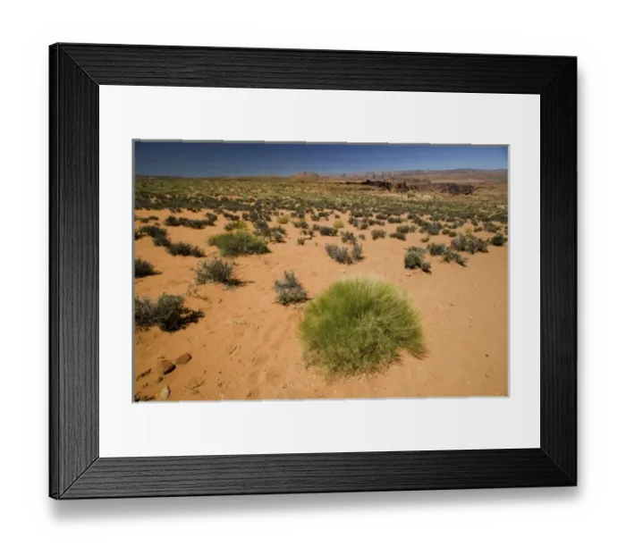 Framed Print : USA, North America, Arizona