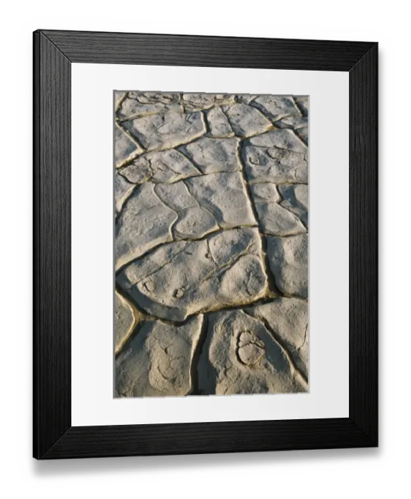 Framed Print : USA, North America, California