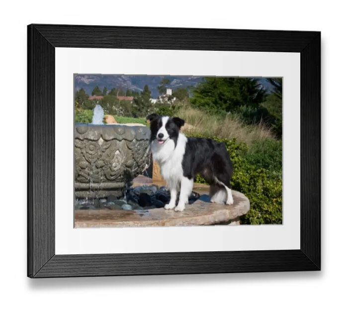 Framed Print : USA, North America, California