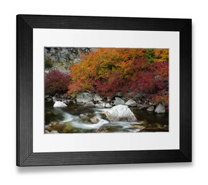 Framed Print : USA, Washington, Hwy 2. Fall along the Nason Creek in the North Cascades