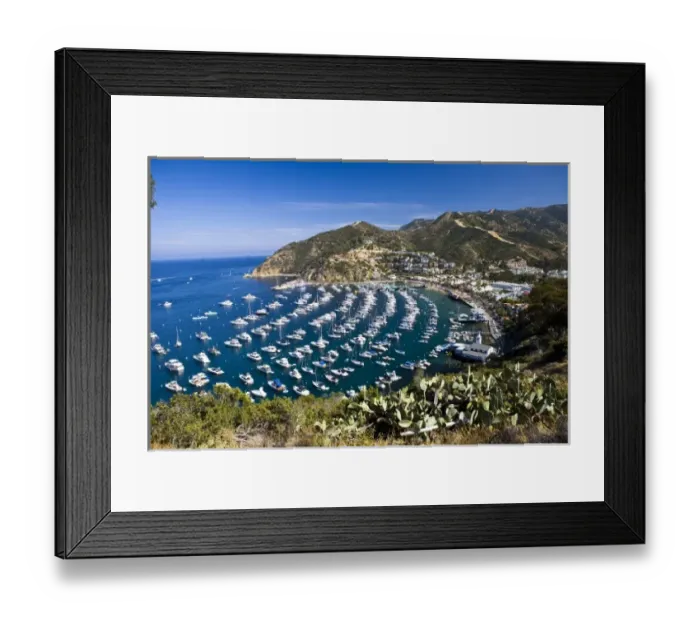 Framed Print : USA, Catalina Island. View overlooking Avalon harbor from the north side. The Wrigley Framed Print : USA, Catalina Island. View overlooking Avalon harbor from the north side. The Wrigley