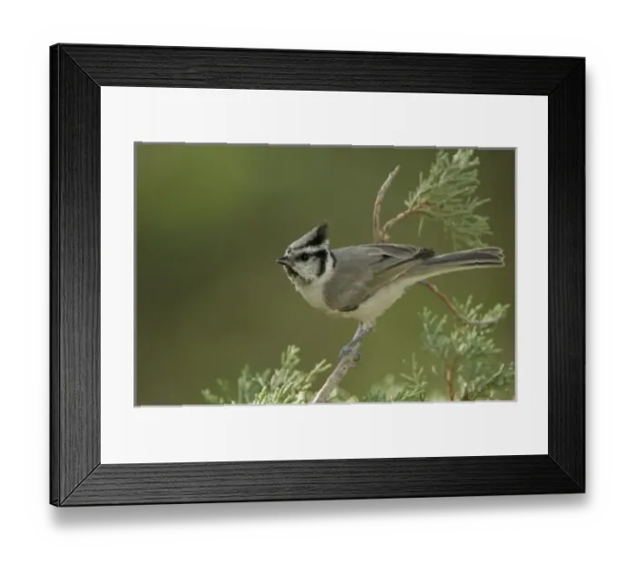 Framed Print : USA, North America, Arizona Framed Print : USA, North America, Arizona