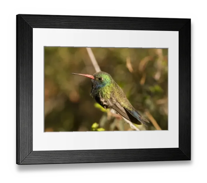 Framed Print : USA, North America, Arizona Framed Print : USA, North America, Arizona
