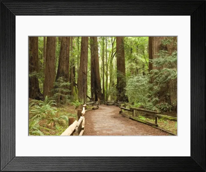 Framed Print : USA, North America, California Framed Print : USA, North America, California