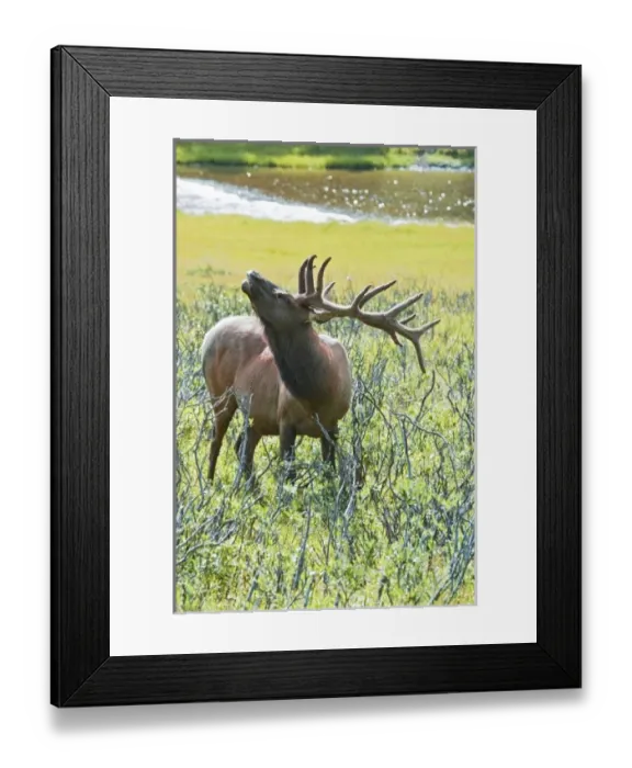 Framed Print : USA, North America, Colorado Framed Print : USA, North America, Colorado