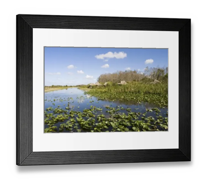 Framed Print : USA, North America, Florida Framed Print : USA, North America, Florida