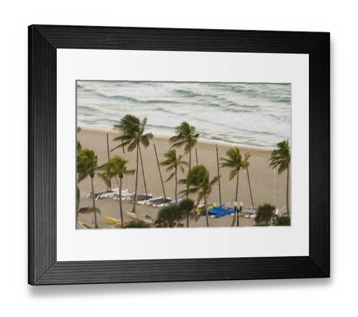 Framed Print : USA, North America, Florida