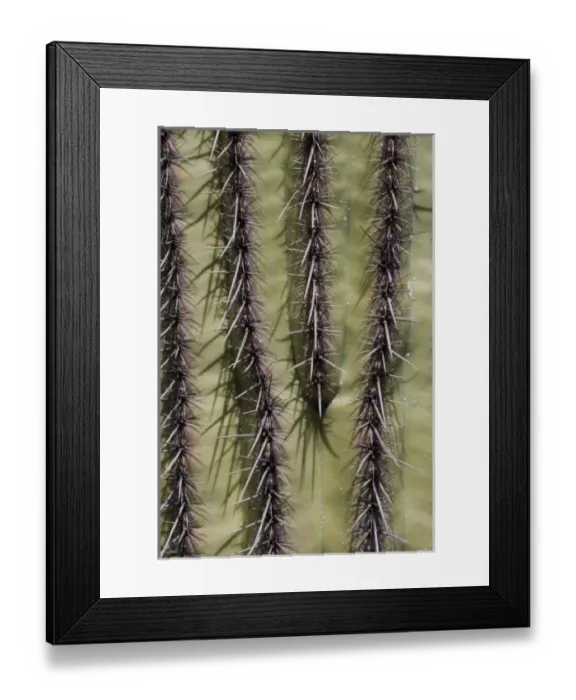 Framed Print : USA, North America, Arizona Framed Print : USA, North America, Arizona