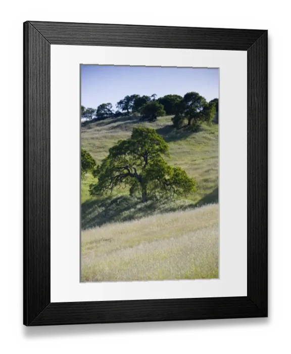 Framed Print : USA, North America, California Framed Print : USA, North America, California