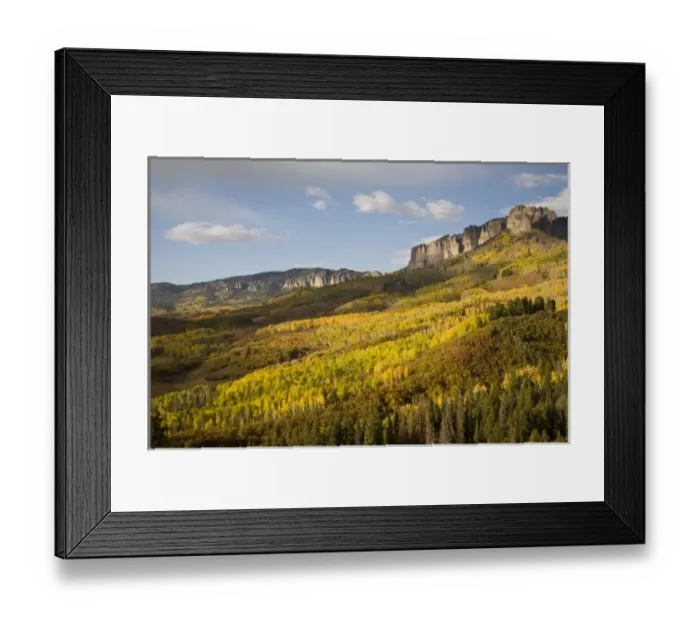 Framed Print : Unknown. CO, Uncompahgre National Forest, along forest road 858