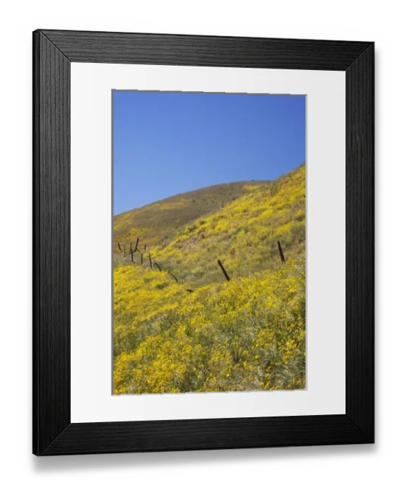 Framed Print : USA, North America, California Framed Print : USA, North America, California