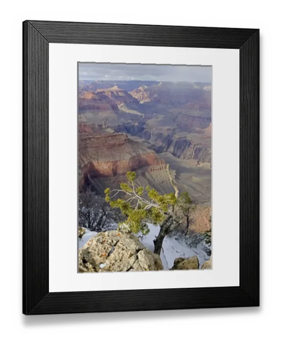 Framed Print : USA, Arizona, Grand Canyon National Park. Grand Canyon in winter, as seen from Yavapai Point Framed Print : USA, Arizona, Grand Canyon National Park. Grand Canyon in winter, as seen from Yavapai Point