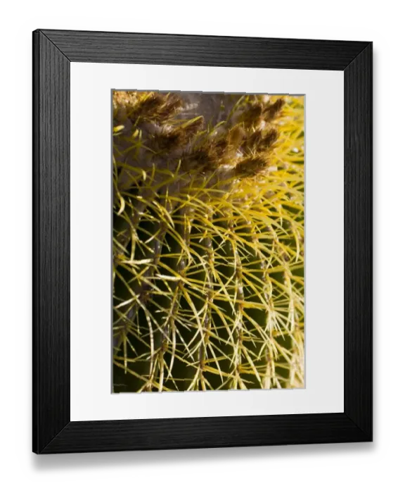 Framed Print : USA, North America, Arizona