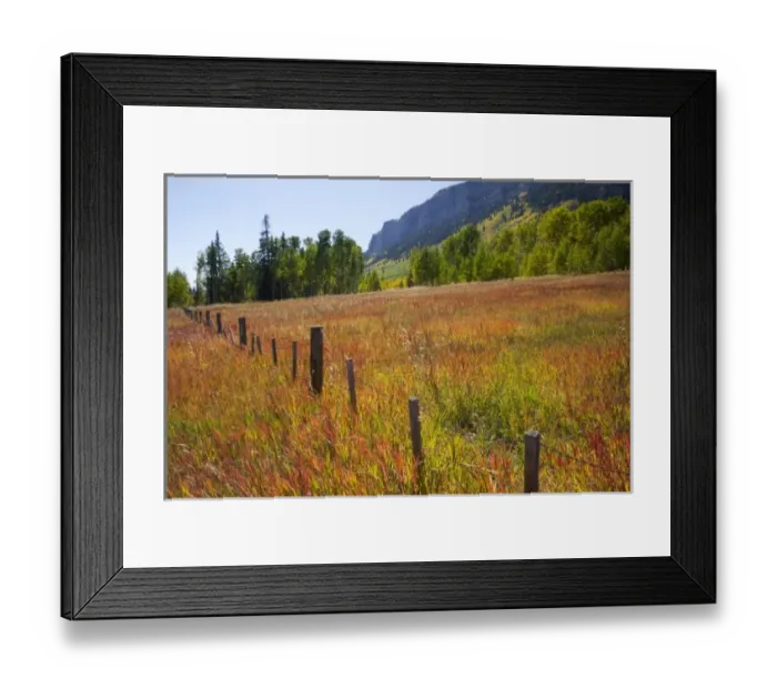 Framed Print : USA, Colorado, San Juan National Forest, along highway 550 Framed Print : USA, Colorado, San Juan National Forest, along highway 550