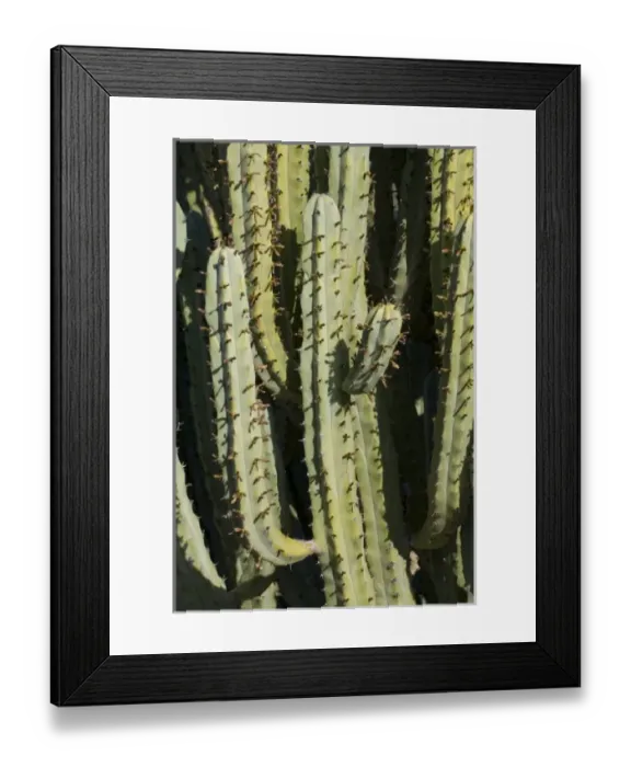 Framed Print : USA, North America, Arizona Framed Print : USA, North America, Arizona