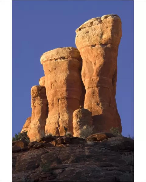 Part of Cathedral Rock, Sedona, Arizona, USA