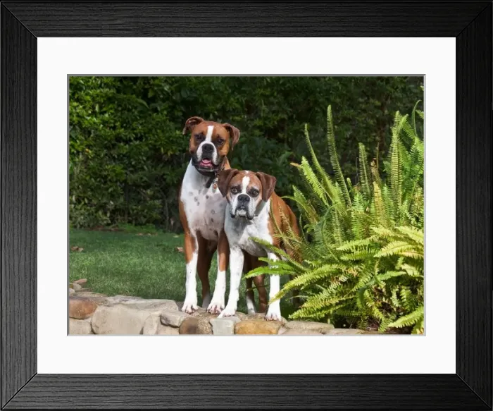 Framed Print : USA, North America, California Framed Print : USA, North America, California