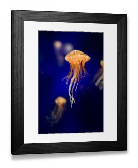 Framed Print : USA, North America, California Framed Print : USA, North America, California
