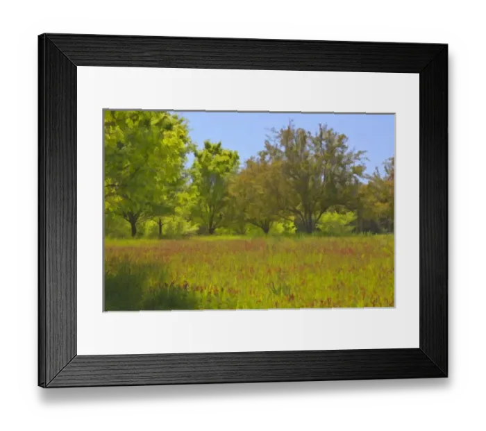 Framed Print : USA, North America, Georgia