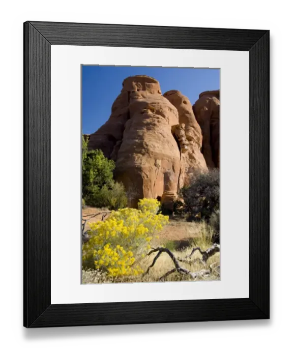 Framed Print : USA, North America, Colorado