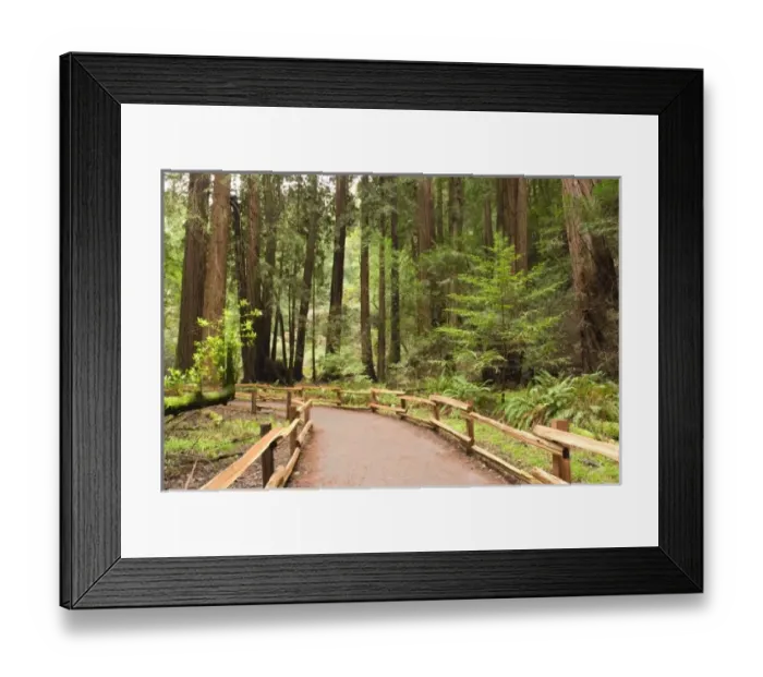 Framed Print : USA, North America, California Framed Print : USA, North America, California